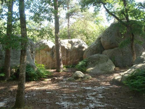 Bed & Breakfast Les Pr�mices De La For�t