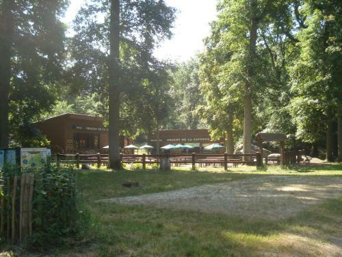 Bed & Breakfast Les Pr�mices De La For�t