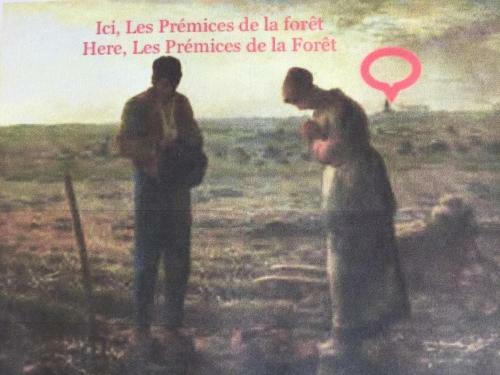 Bed & Breakfast Les Pr�mices De La For�t