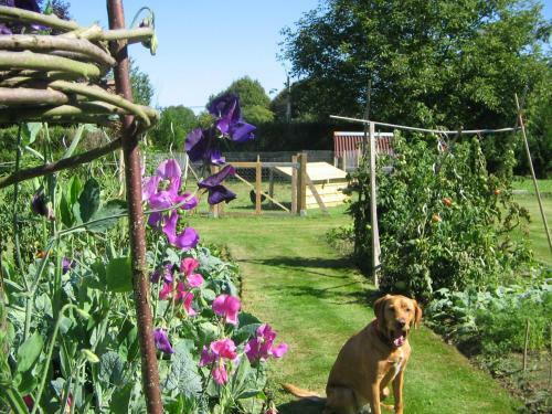 Bed & Breakfast Le Canard Au Parapluie Rouge