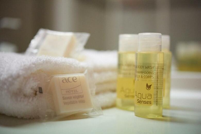 Ace Hotel Bordeaux Cestas