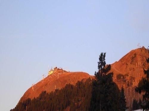Apartment L'hippocampe