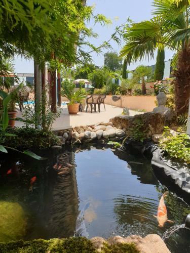 Bed & Breakfast Chambre D�h�tes L�onie & Restaurant