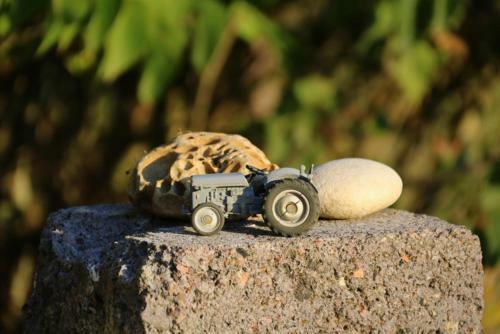 Bed & Breakfast La Bastide De Courcelles