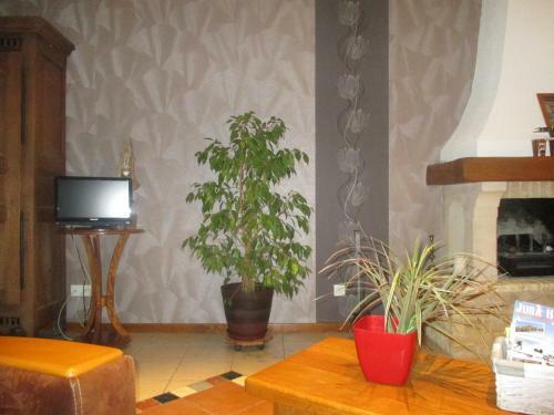 Bed & Breakfast La Bonardi�re