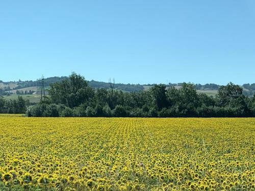 Charming Holiday Home In Monfort With Private Swimming Pool