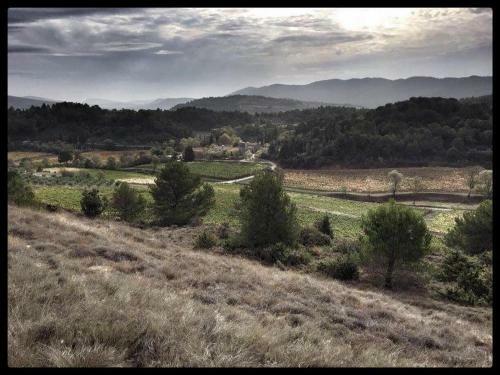 Domaine Calmel & Joseph