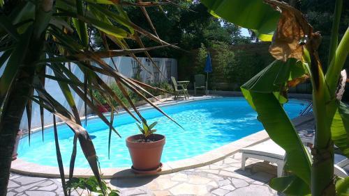 Bed & Breakfast Chambre D'h�tes La Vigneronne