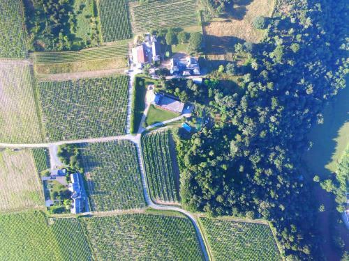 Bed & Breakfast Ch�teau Pi�gu�