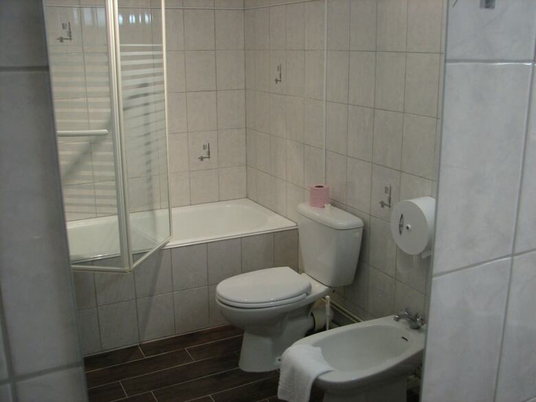Hotel Le Grand Cerf