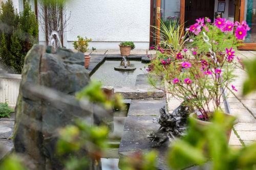 Ael Y Bryn Luxury B&b, North Pembrokeshire