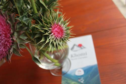 Hotel Tourist Complex Khomi