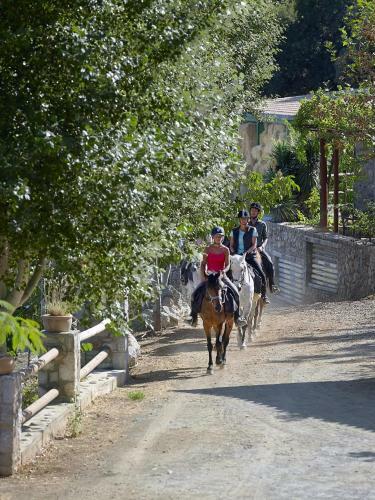 Country Hotel Velani