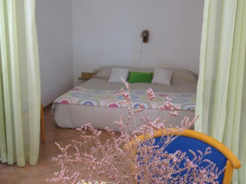 Apartments Evita
