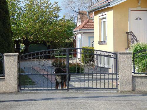 Hostal Kata Vend�gh�z
