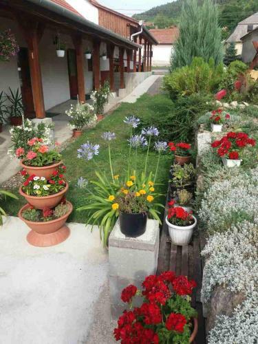 Hostal S�tor-hegy Vend�gh�z