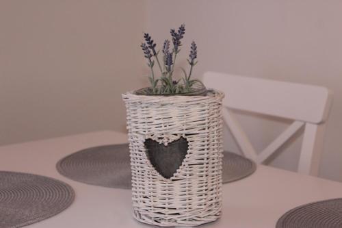 Apartamento Wanderer 1