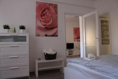 Apartamento Wanderer 1