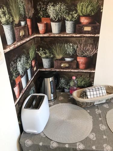 Apartamento Wanderer 1