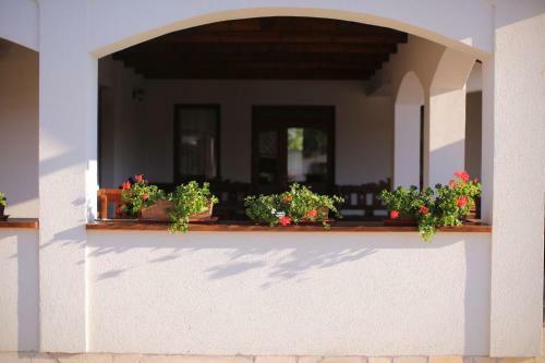 Hostal Csaronda Vendegh�z