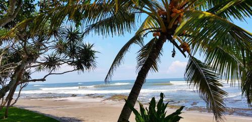 Hotel Puri Dajuma Beach Eco-resort & Spa