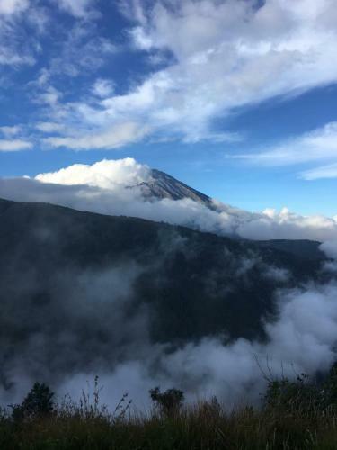Tereng Wilis Jungle Inn
