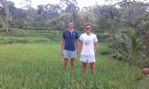 Tereng Wilis Jungle Inn