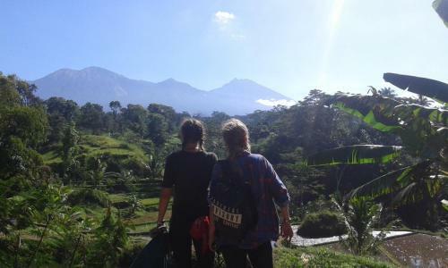 Tereng Wilis Jungle Inn