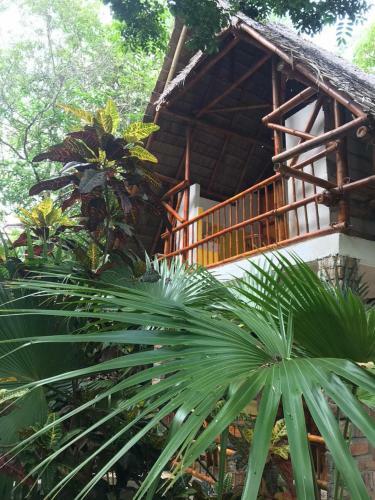 Mangga Lodge