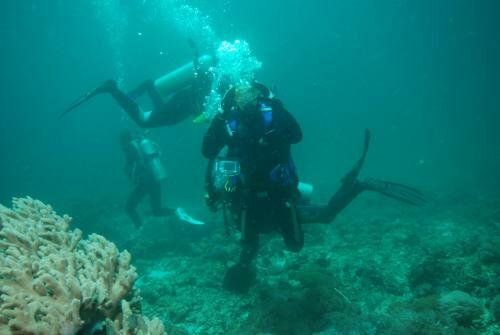 Mangga Lodge
