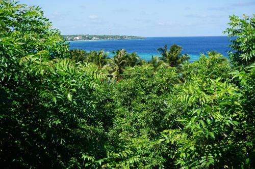 Mangga Lodge