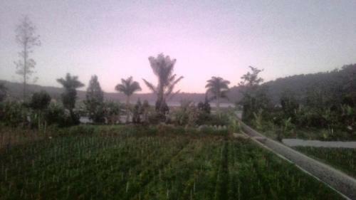 Pondok Sania Bedugul