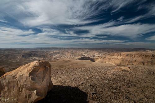 Desert Picture