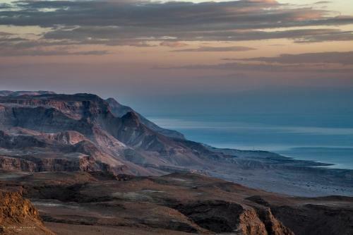 Desert Picture