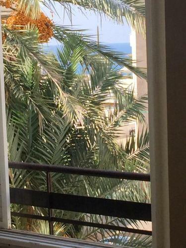 Hostal Cozy Private Rooms Near Beach And Kikar