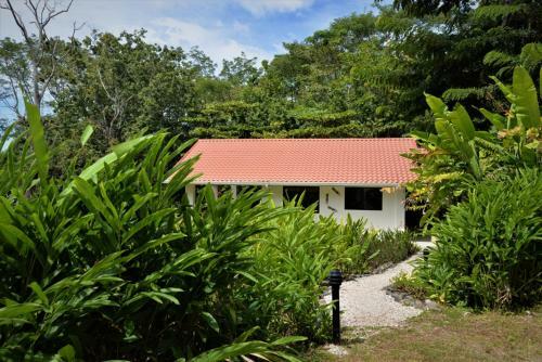 Royal Palm Villa