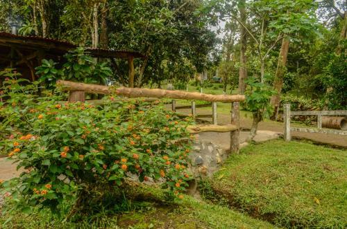 Agroturismo Los Cafetales Eco Lodge