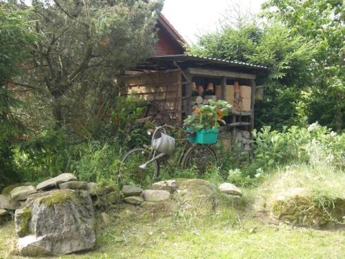 Apartamento Ferienwohnung Dehnsen - [#65180]
