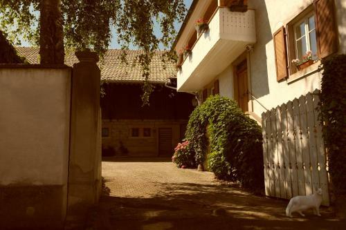 La Vieille Vigne Bed & Breakfast