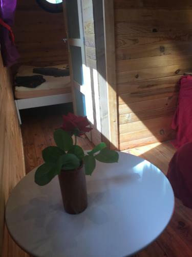 Bed & Breakfast Schwanenvilla
