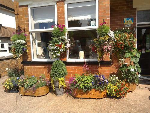 Hostal South Lodge Guest House