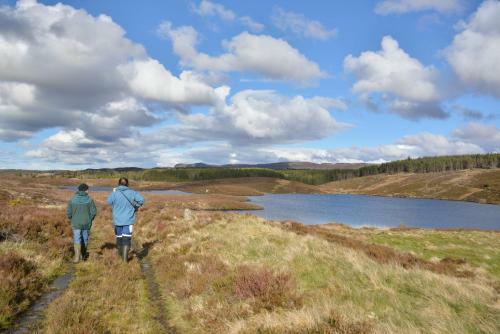 Woodland Lodges