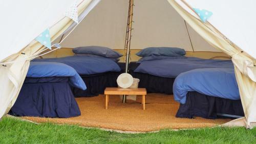 Iom Tt Pop Up Hotel By Red Sky Tent Company