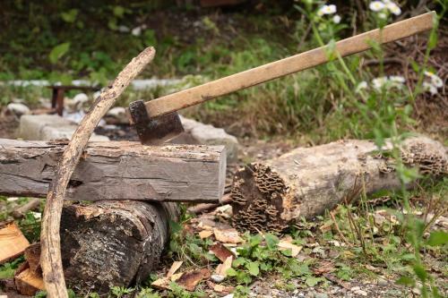 Albergue Kinchkha Wood House