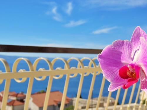 Apartment Nemira