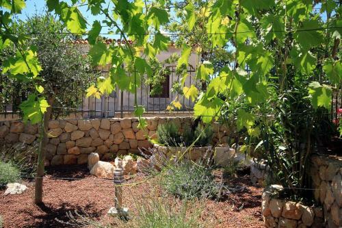 Luxury Villa With A Swimming Pool Punta Kriza, Cres - 3488