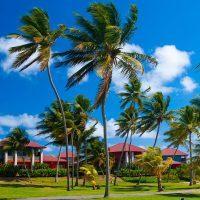 Hotel Le Cap Est Lagoon Resort & Spa