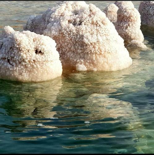 Lodge Carmit's Dead Sea Place