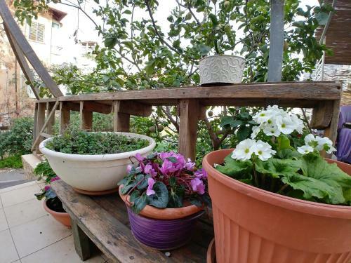 Hostal Ahuzat Shaul - Studio