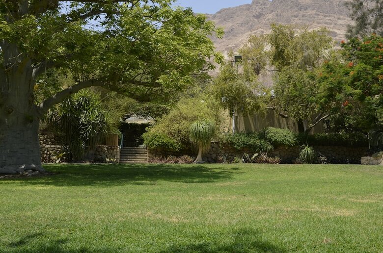 Ein Gedi Kibbutz Hotel